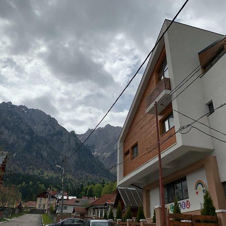 Vila Curcubeu Hotel Buşteni Exterior foto