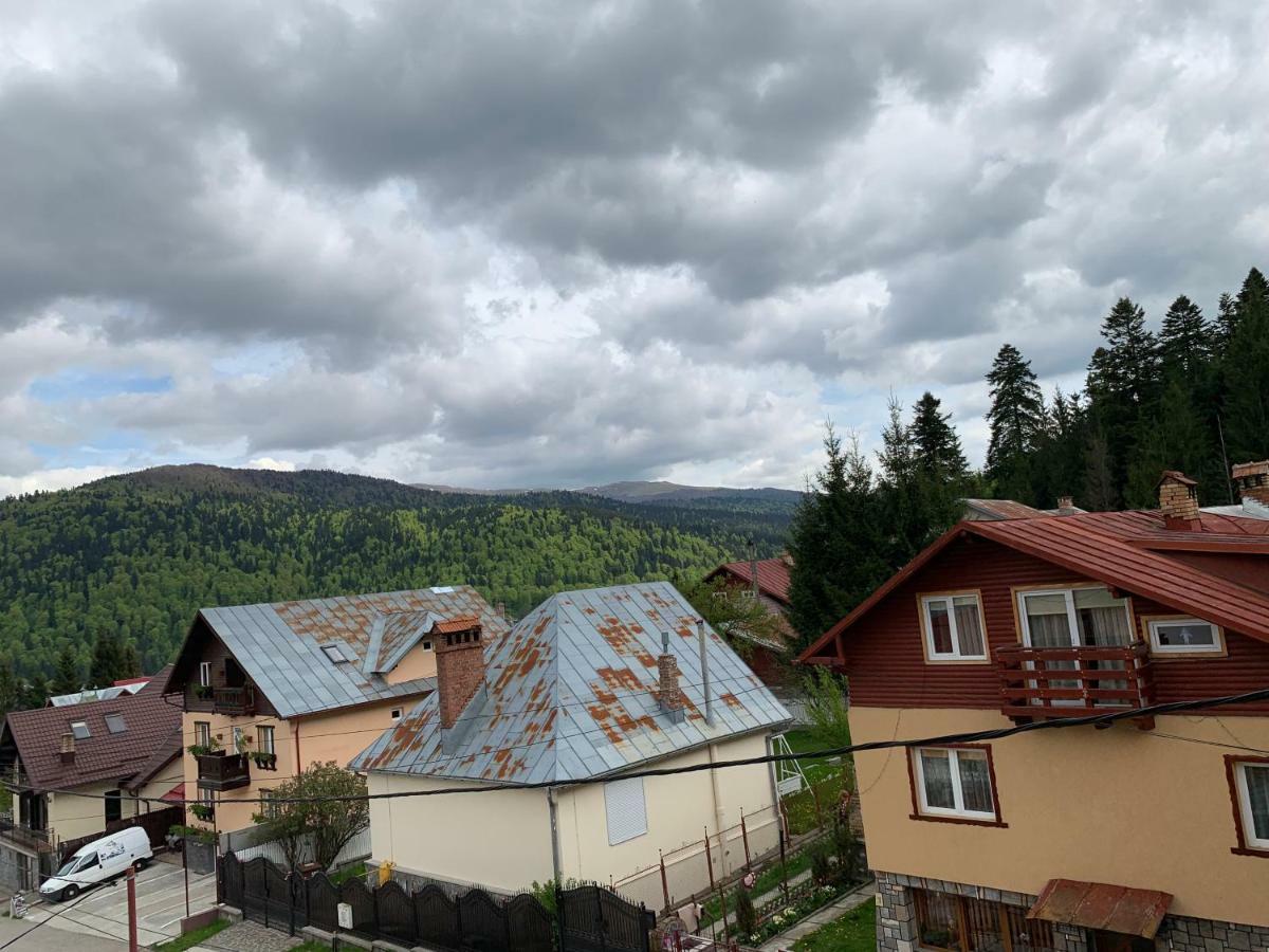 Vila Curcubeu Hotel Buşteni Exterior foto