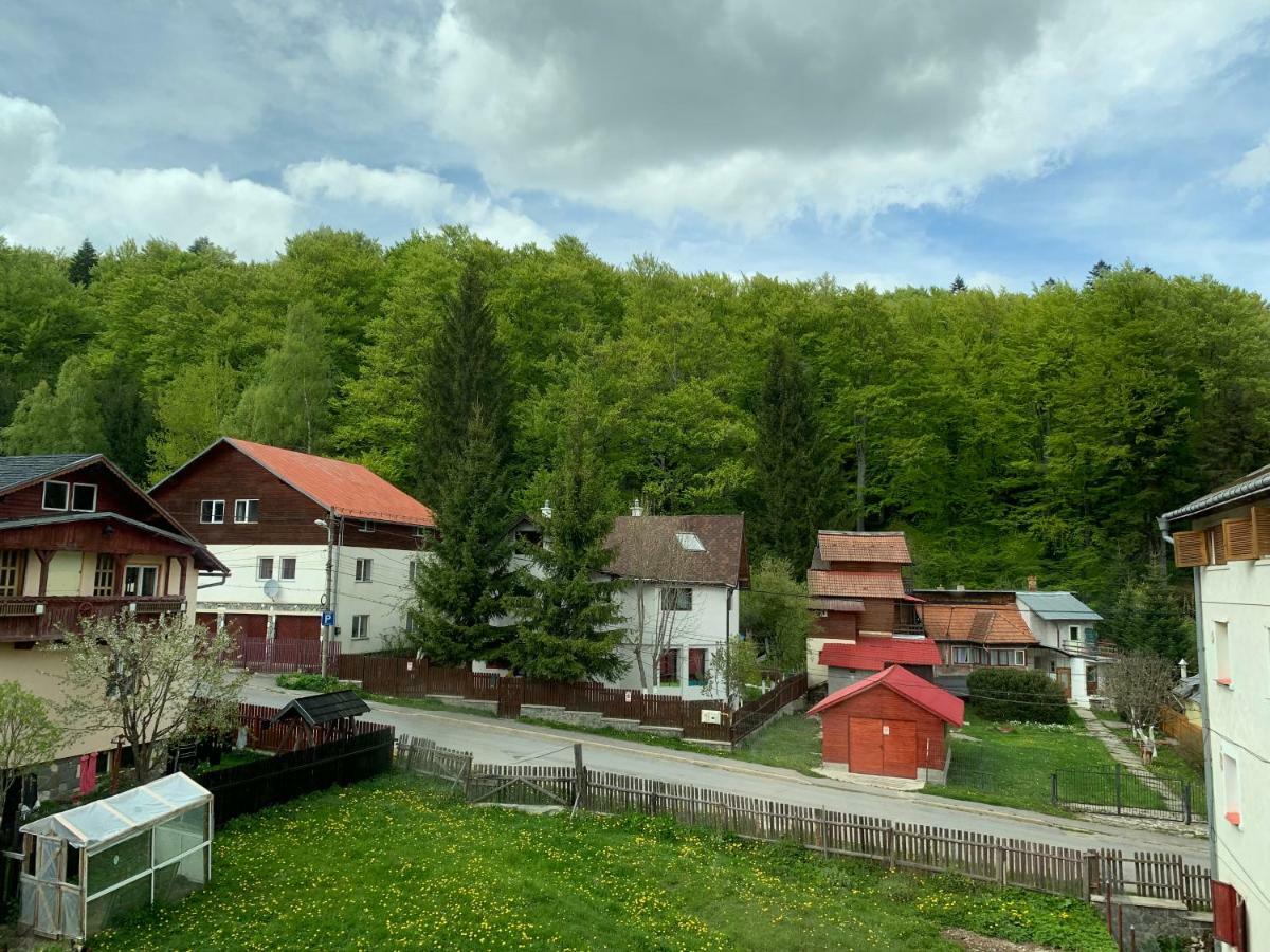 Vila Curcubeu Hotel Buşteni Exterior foto