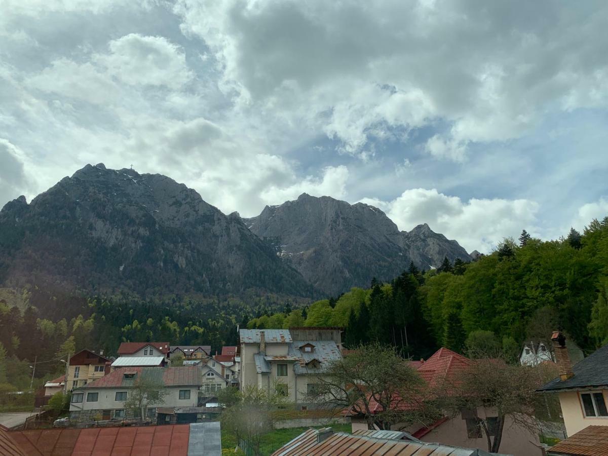Vila Curcubeu Hotel Buşteni Exterior foto